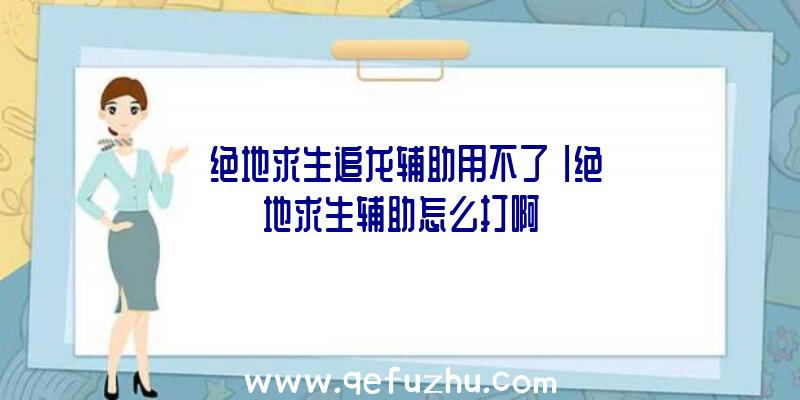 「绝地求生追龙辅助用不了」|绝地求生辅助怎么打啊